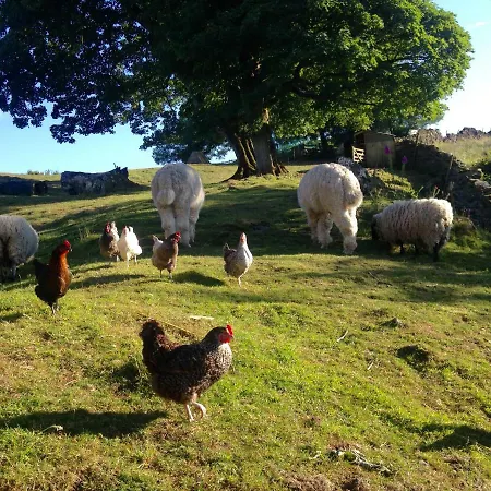 Feriehus The End Place