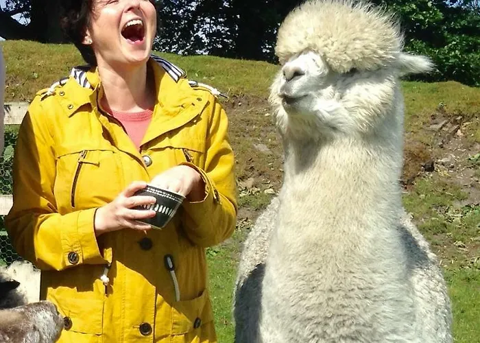 The End Place Pateley Bridge