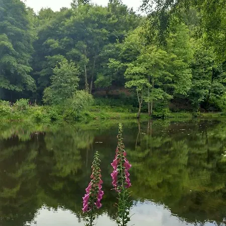 度假居 The End Place 佩特利布里奇