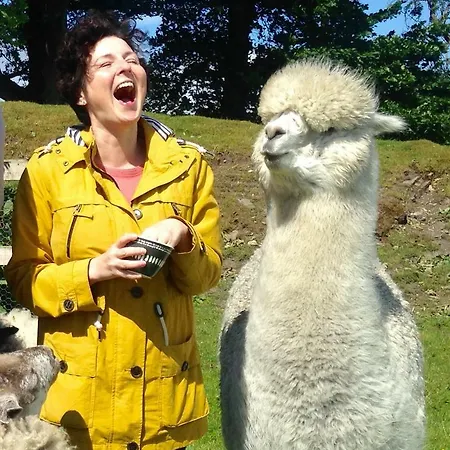 The End Place 佩特利布里奇